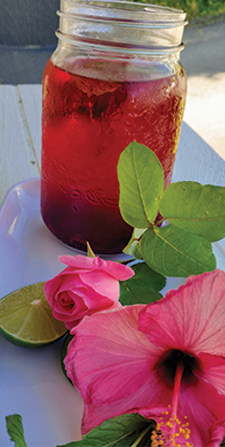 Iced Hibiscus Tea